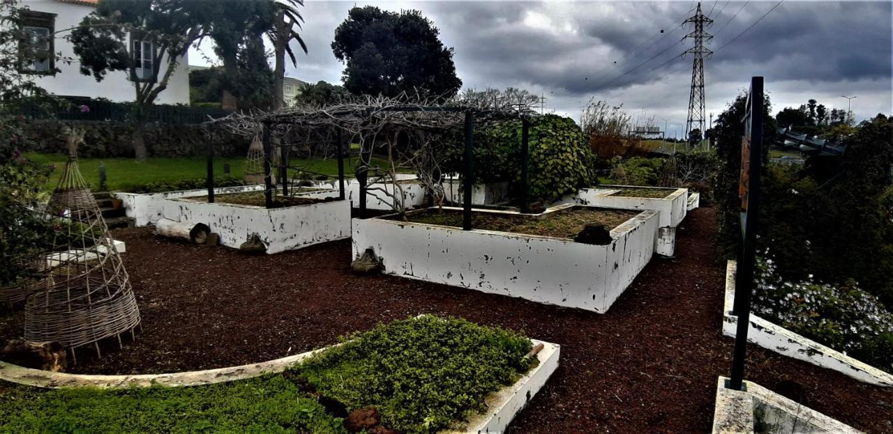 Quinta Do Bom Despacho Ponta Delgada Exteriér fotografie