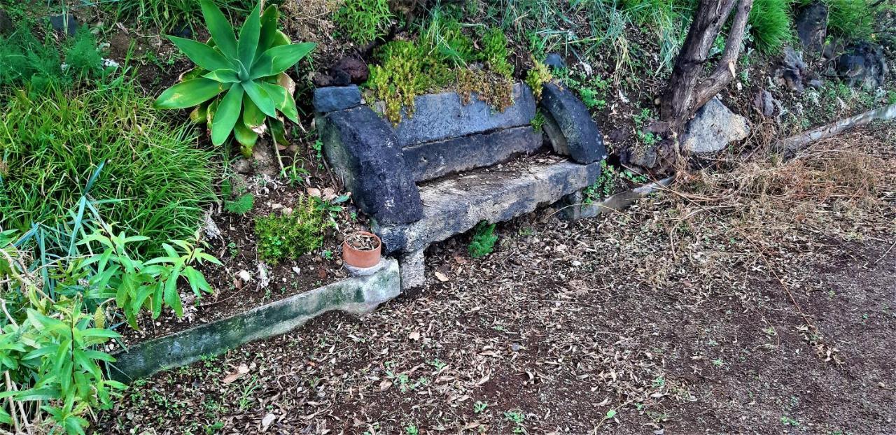 Quinta Do Bom Despacho Ponta Delgada Exteriér fotografie