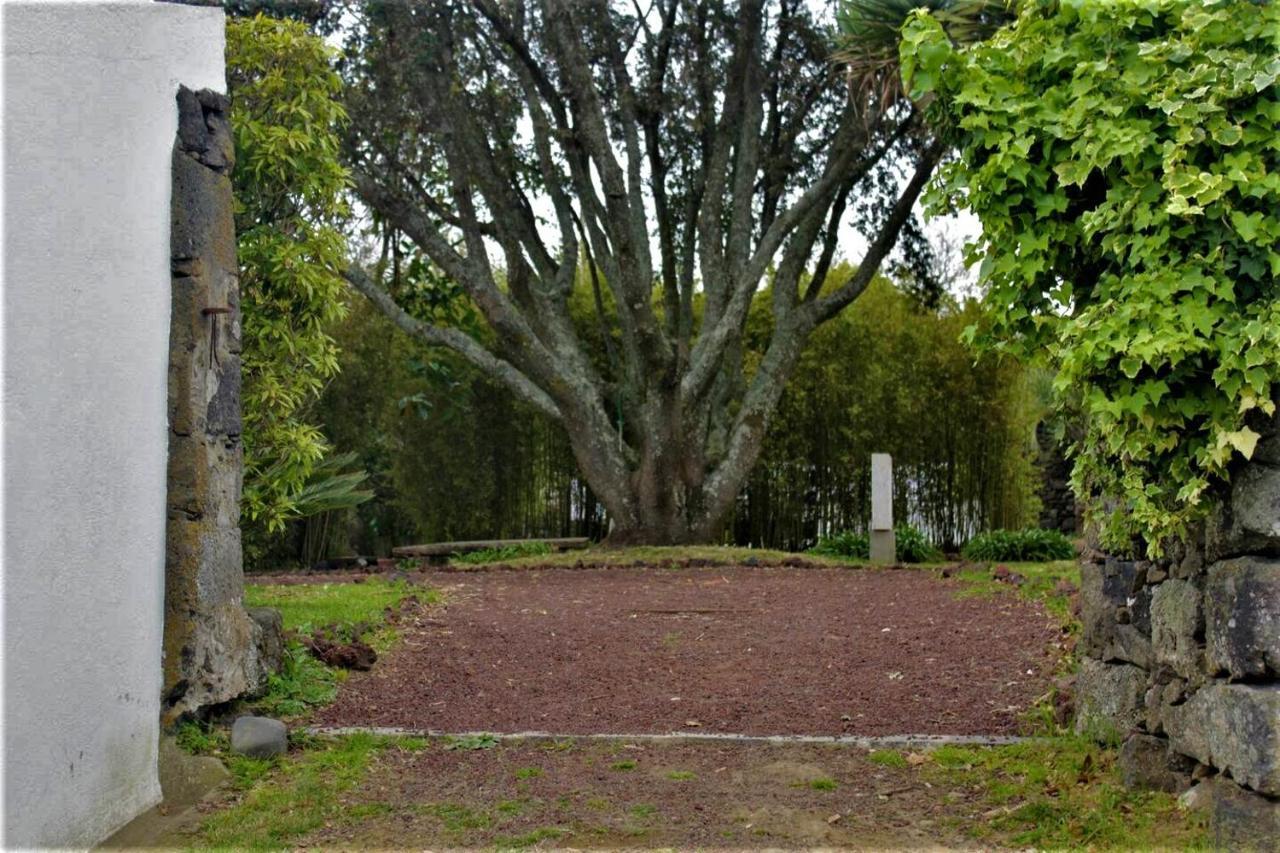 Quinta Do Bom Despacho Ponta Delgada Exteriér fotografie